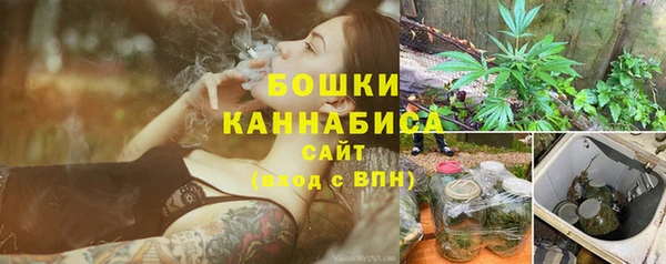 шишки Володарск