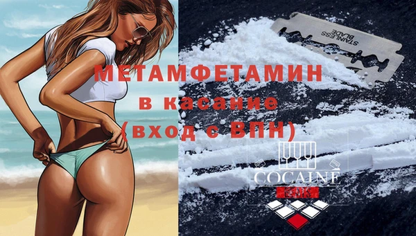 шишки Володарск