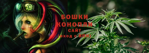 шишки Володарск